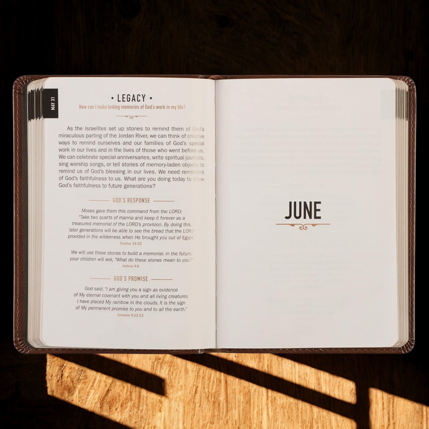 Faith Rooted: Men’s Minute Devotional